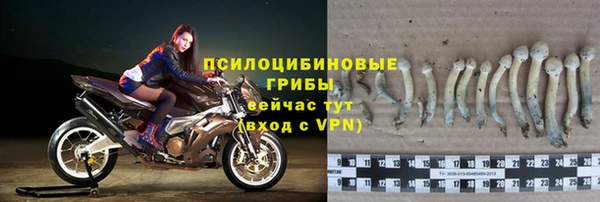 марихуана Каменногорск