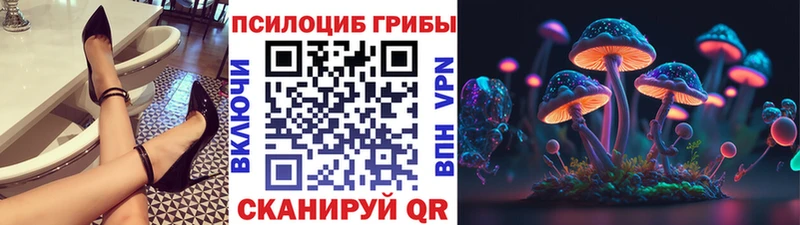 Купить где  Великий Устюг  Псилоцибиновые грибы прущие грибы 